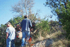 Image of 11t.gif