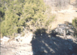 Image of 2t.gif