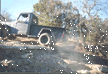 Image of 7t.gif